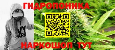 крисы Анапа